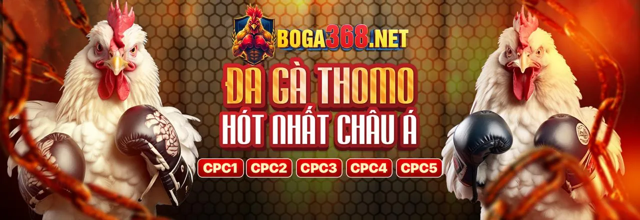 Đá gà trực tuyến kịch tính tại Nextbet Chính Thức