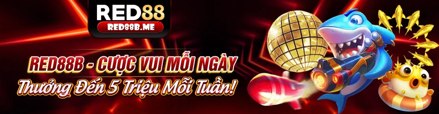 Hình ảnh minh họa định nghĩa và các loại cookie trên Nextbet Chính Thức