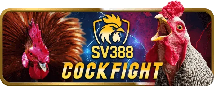 Tin tức trò chơi casino nextbet